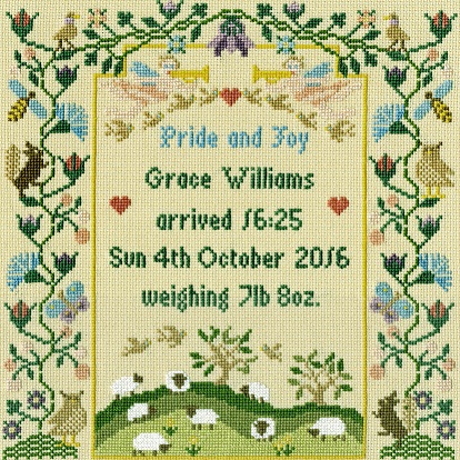 click here to view larger image of Pride And Joy (counted cross stitch kit)