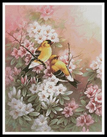 Yellow Finches  (T.C. Chiu)