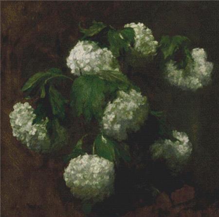 White Hydrangeas  (Henri Fantin-Latour)