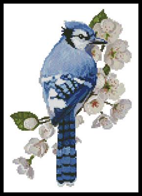 click here to view larger image of Little Blue Jay  (Claire Harkness) (chart)