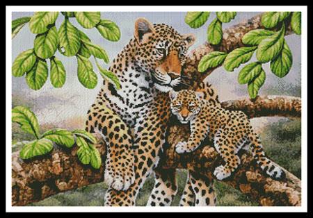 Leopard and Cub  (Howard Robinson)