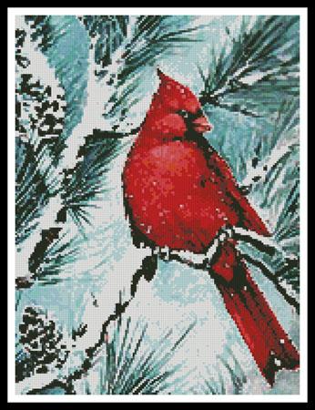Winters Glory Red Bird (Cropped)  (Jamie Carter)