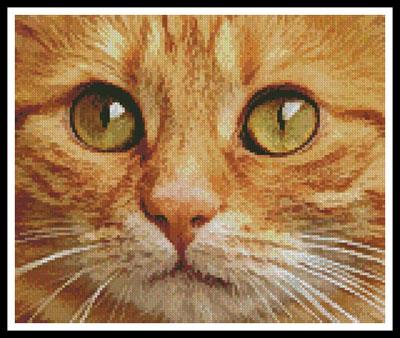 click here to view larger image of Ginger Cat Close Up (chart)