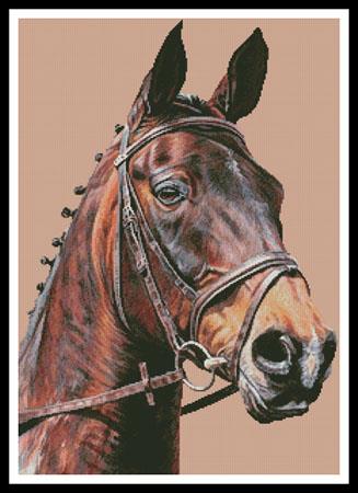 click here to view larger image of Horse Portrait  (Lisa Ann Watkins) (chart)