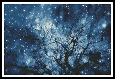 Tree Silhouette Against Starry Night - Large  (Robert Llewellyn)