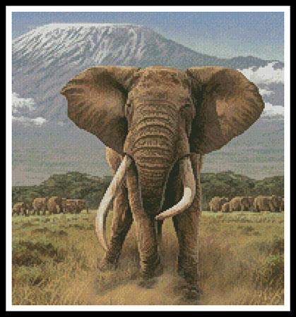 African Giants (Crop)