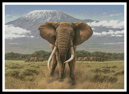 African Giants  (Fuz Caforio)