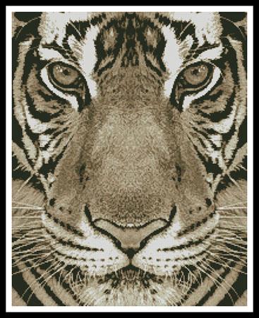 Bengal Tiger (Sepia)