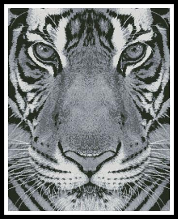 Bengal Tiger (Black and White)
