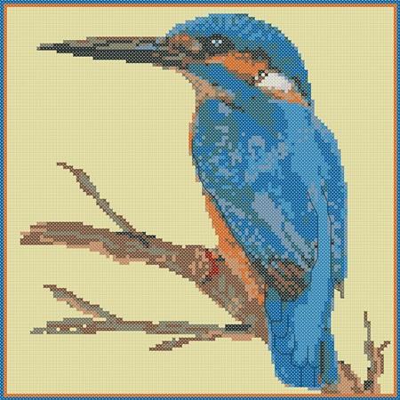 Bird Series - Kingfisher