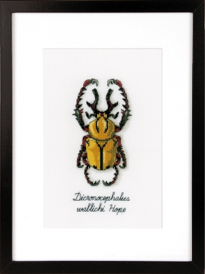 click here to view larger image of Golden Beetle (counted cross stitch kit)