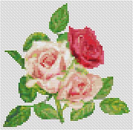 Trio Of Pink Roses, A