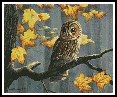 click here to view larger image of Tawny Owl (Cropped)  (Daphne Baxter) (chart)