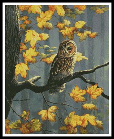 click here to view larger image of Tawny Owl  (Daphne Baxter) (chart)