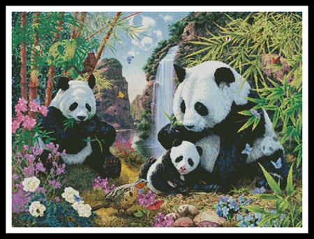 Panda Valley  (Howard Robinson)