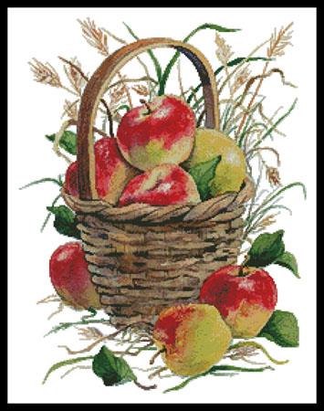 Basket Of Apples  (Maureen McCarthy)