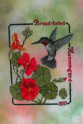 Broad Tailed Hummingbird - 2017 Commemorative