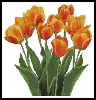 click here to view larger image of Orange Tulips  (Claire Harkness) (chart)