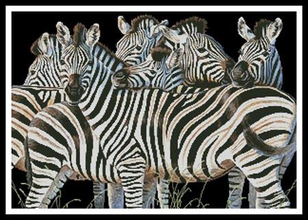 click here to view larger image of Zebra Huddle  (Cynthie Fisher) (chart)