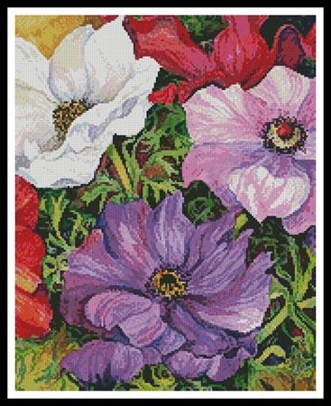 click here to view larger image of Colourful Anemones (Cropped)  (Joanne Porter) (chart)