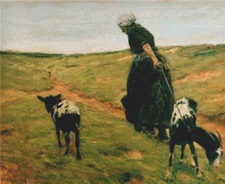 Woman And Her Goats In The Dunes