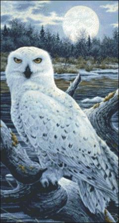click here to view larger image of Snippet Snowy Owls (chart)