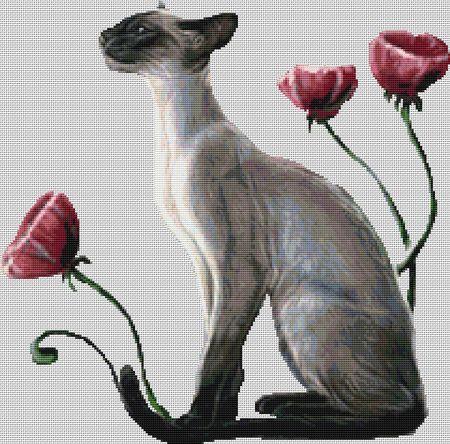Oriental Poppies (Cat)