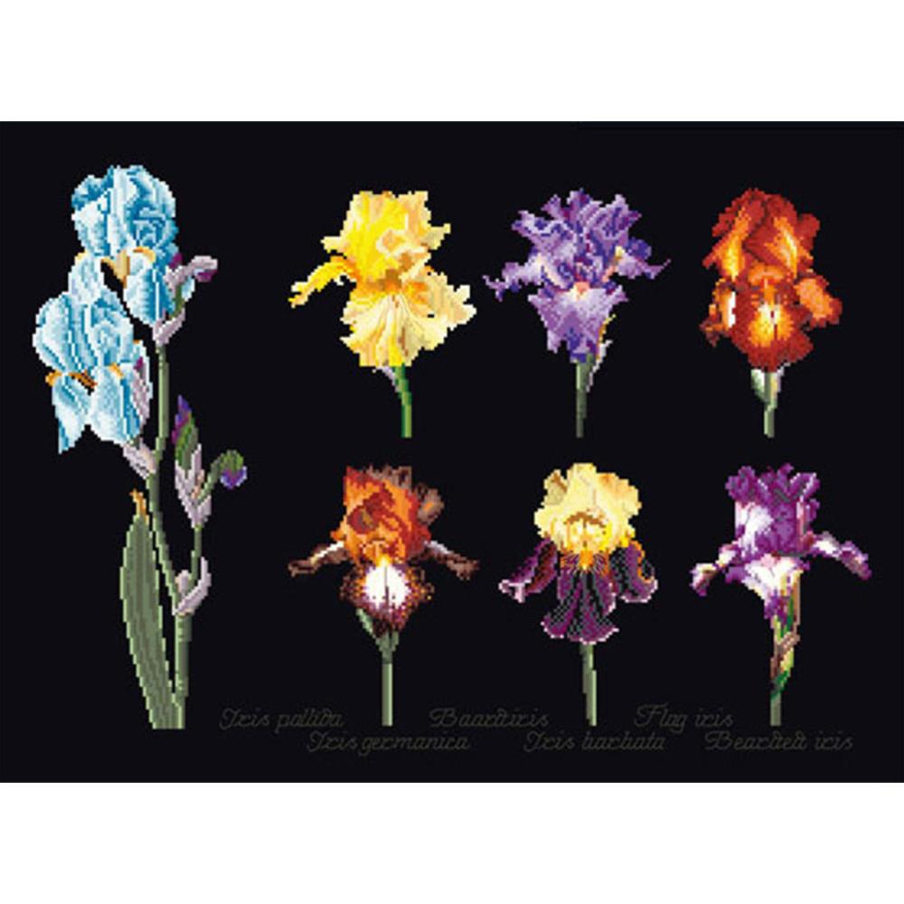 click here to view larger image of Iris Assortment - On Black (counted cross stitch kit)