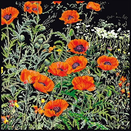 click here to view larger image of Orange Poppies - On Black (counted cross stitch kit)