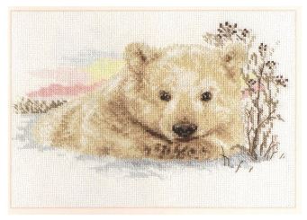 Northern Bear Cub
