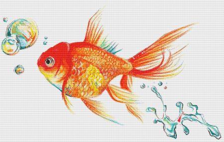click here to view larger image of Rainbow Goldfish (chart)
