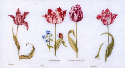click here to view larger image of Tulips Jacob Marrel/Judith Leyster 16th Century - Linen (counted cross stitch kit)