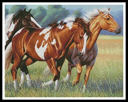 Horses Running  (Cynthie Fisher)