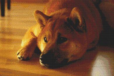 click here to view larger image of Shiba Inu - Peaceful (chart)