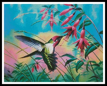 Hummingbird  (Cynthie Fisher)