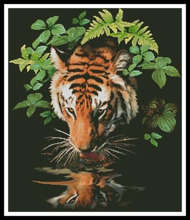 Tiger Reflection  (Howard Robinson)