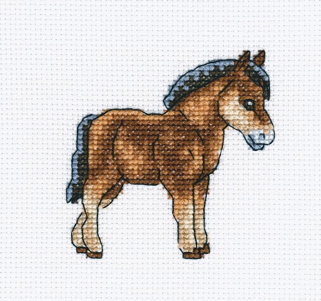 Dutch Horse