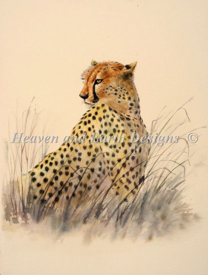 click here to view larger image of Cheetah (chart)