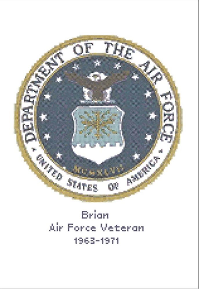 U.S. Air Force Emblem - Kit