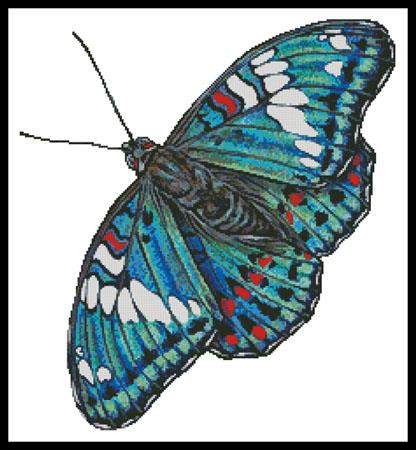 click here to view larger image of Gaudy Baron Butterfly (No Background)  (Marilyn Barkhouse) (chart)