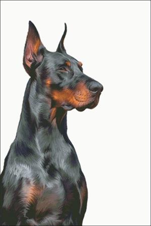 click here to view larger image of Doberman (chart)