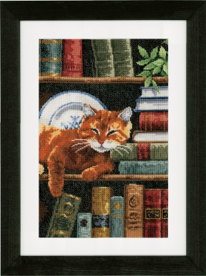 Cat On Bookshelf