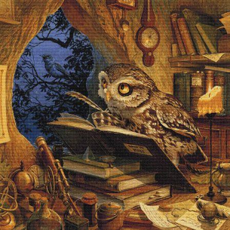 Wise Old Owl, A