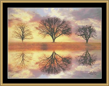Trio of Trees - Lori Deiter