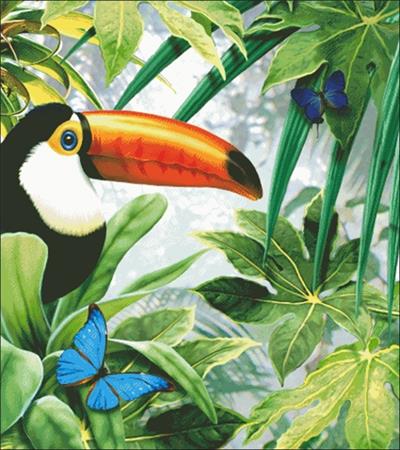 click here to view larger image of Toco Toucan (chart)
