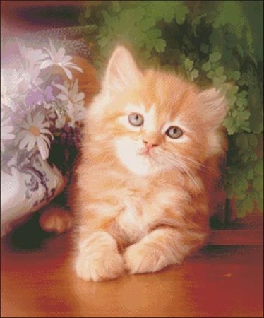 click here to view larger image of Kitten and Daisies (chart)