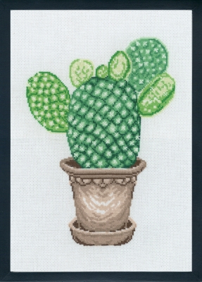 Mickey Cactus
