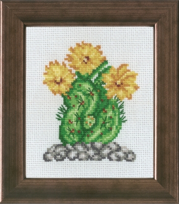 Cactus with Yellow