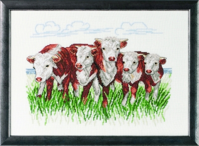 Hereford Cows (Linen)