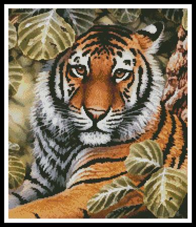 click here to view larger image of Jungle Tiger (Crop) (chart)